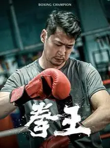 电视剧龙虎人生