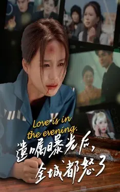 神探阿蒙第八季