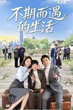 囧探查过界粤语版