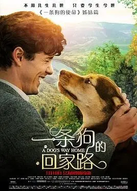 仙剑奇侠传三电视剧下载
